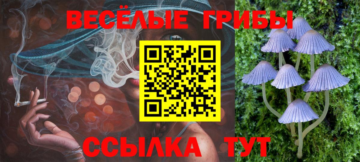 Галлюциногенные грибы Psilocybine cubensis  Вход с VPN  Котовск  Галлюциногенные грибы GOLDEN TEACHER 